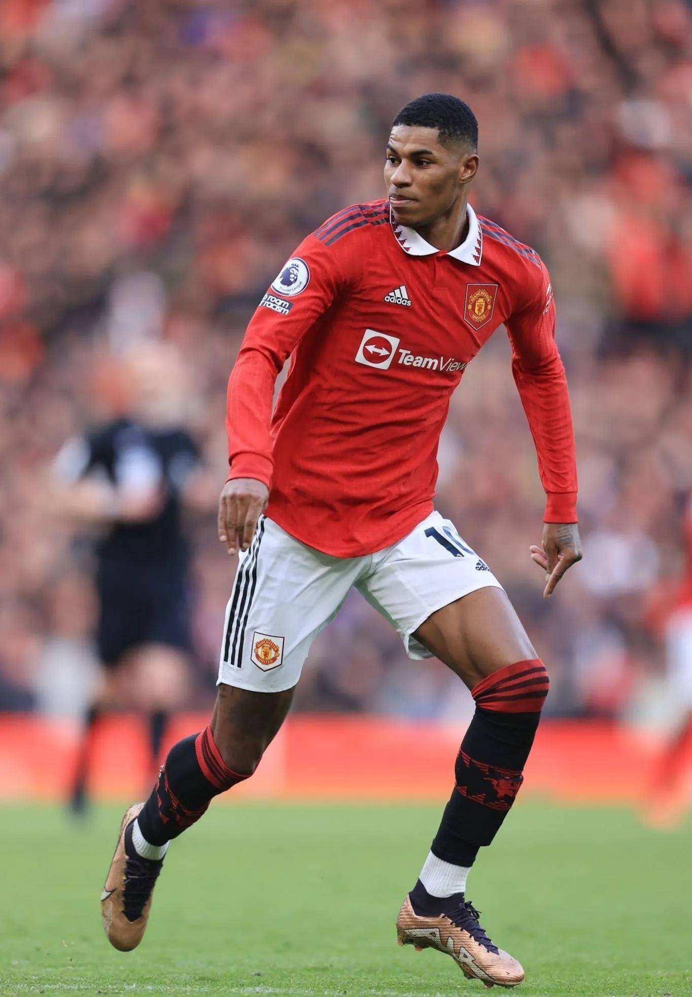 他的成功将 他的成功将